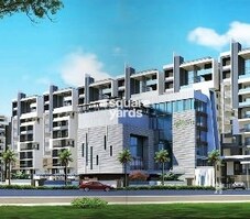 Lansum Greens Featured Image