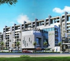 Lansum Greens Featured Image