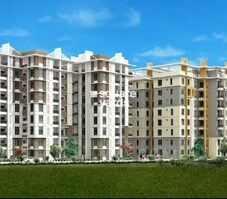 Omcon Reign Forest Featured Image