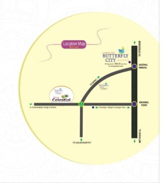 Representative image as actual visual unavailable for Fortune Celestial