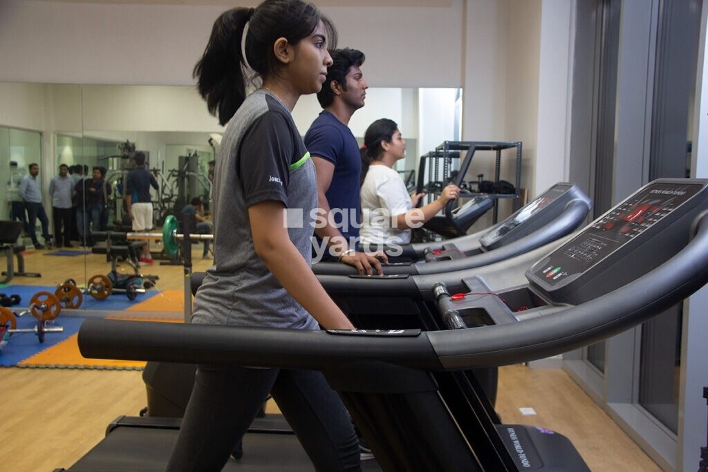 Arck ARD Continental