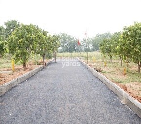 Swarna Mango Garden, Vangapally, Yadagirigutta