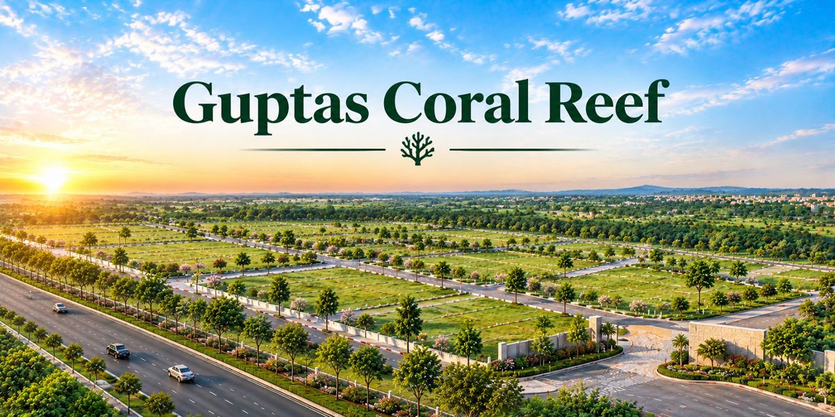 Guptas Coral Reef