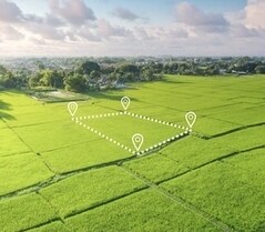 DR Brothers Colony