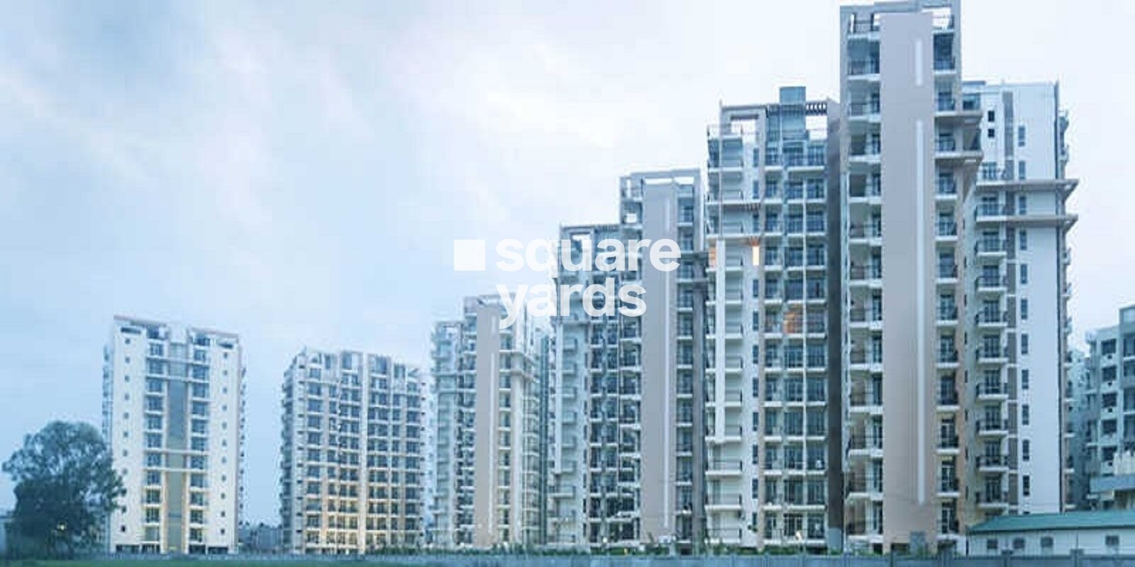 sushma-elite-cross