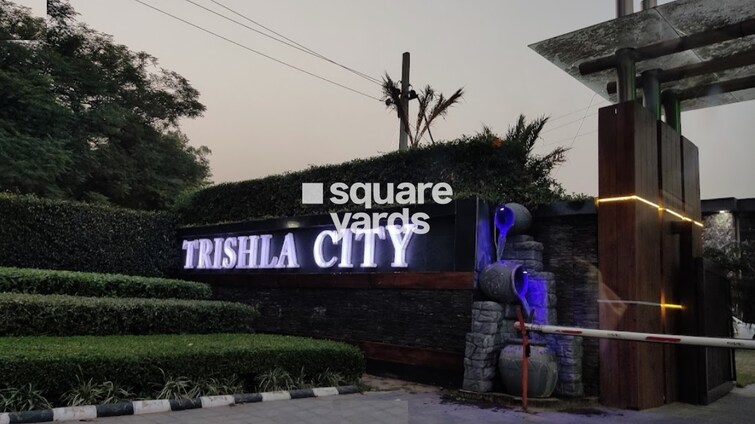 Trishla City Amenities-Features 5