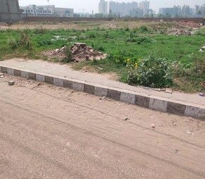 BB Northview Encore Featured Image