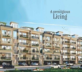 Motia Harmony Greens