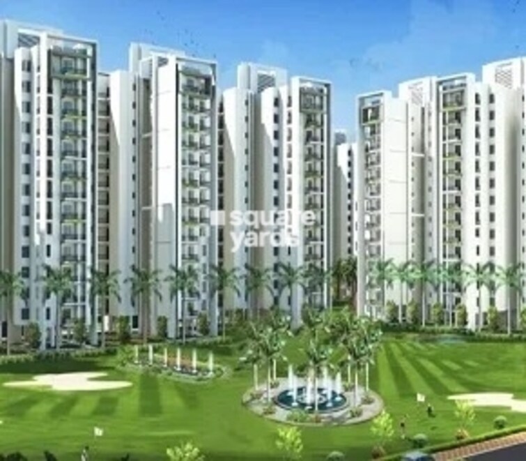 Motia Heights Cover Image