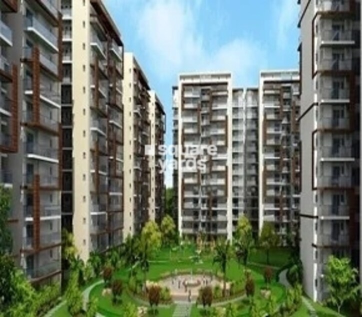 Motia Oasis Cover Image