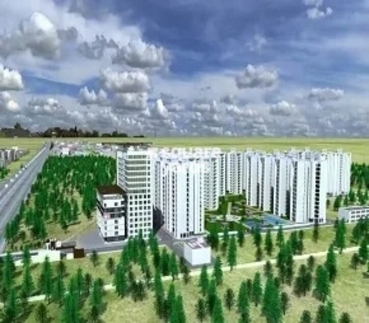 Motia Royal Estate Cover Image