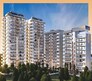 Northview Homez Flagship Image