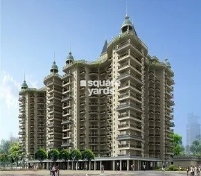 Stellar Ojas Grand