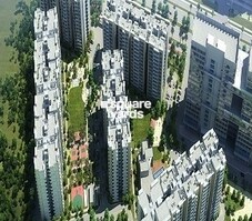 Sushma Belleza Featured Image