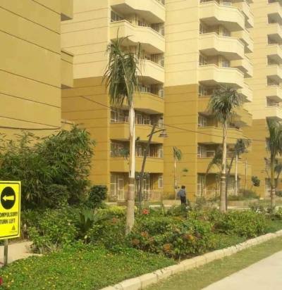 Pyramid Urban Homes review image