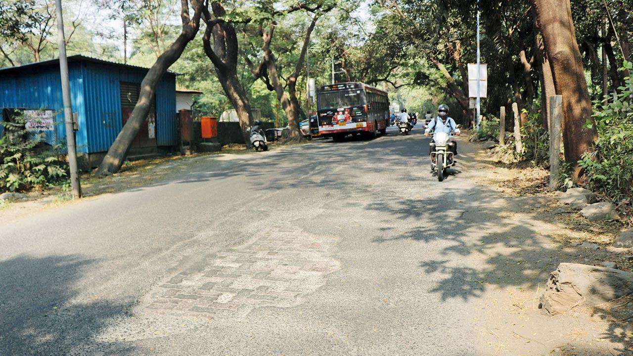 Aarey Road review image