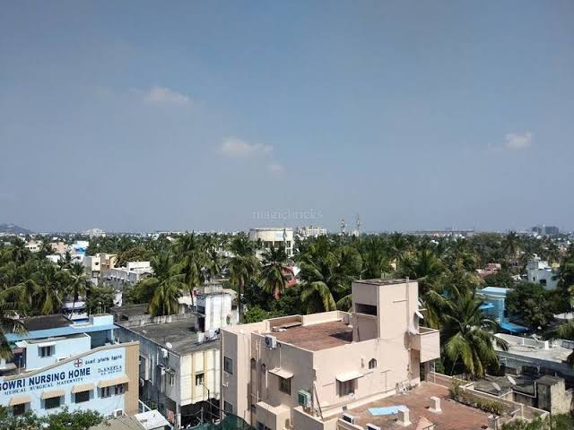 Mylapore review image