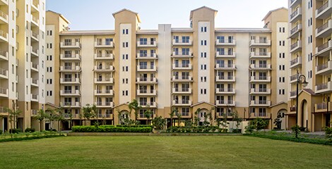Emaar Palm Gardens review image