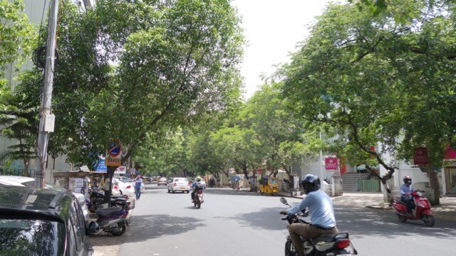 Alwarpet review image