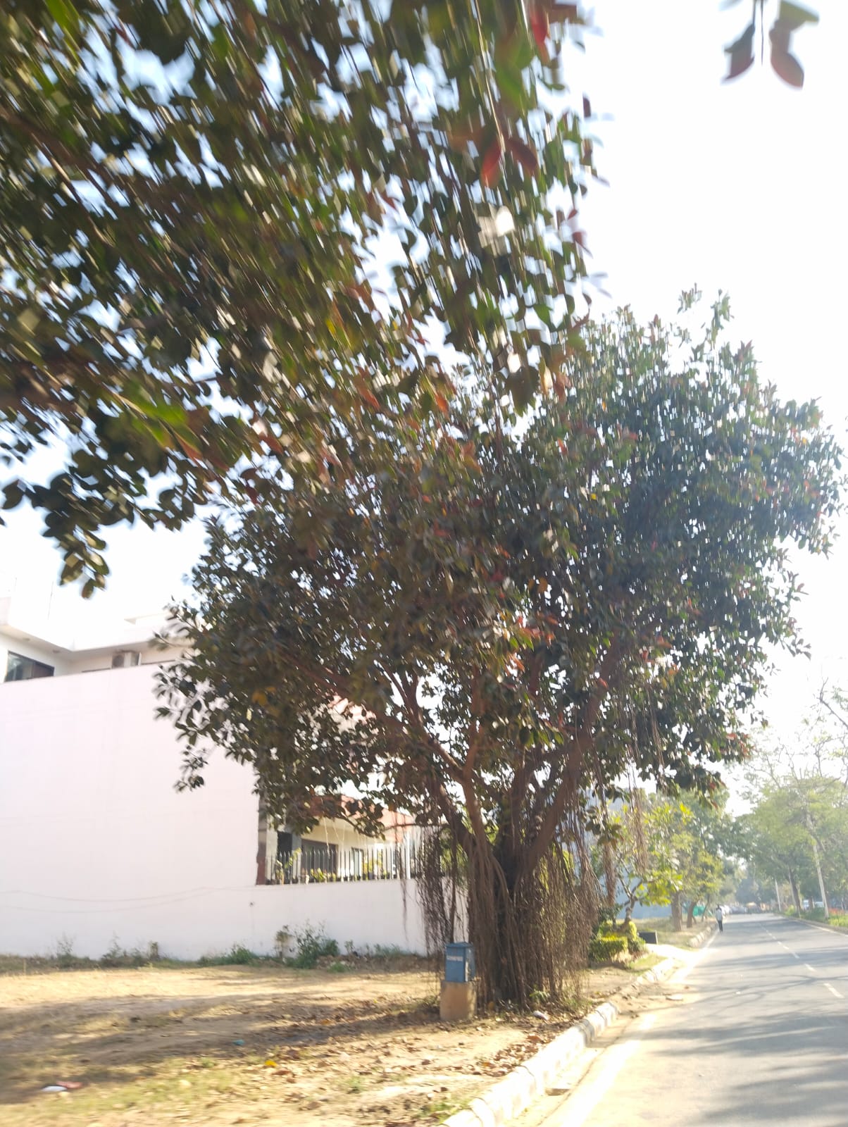 DLF City Phase III review image