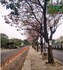 Silk Board Junction, Bangalore