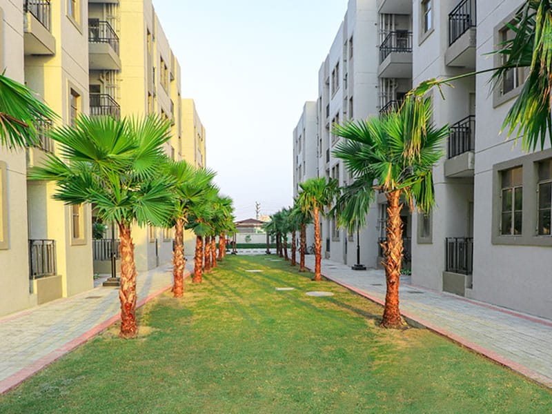 Signature Solera Apartment review image