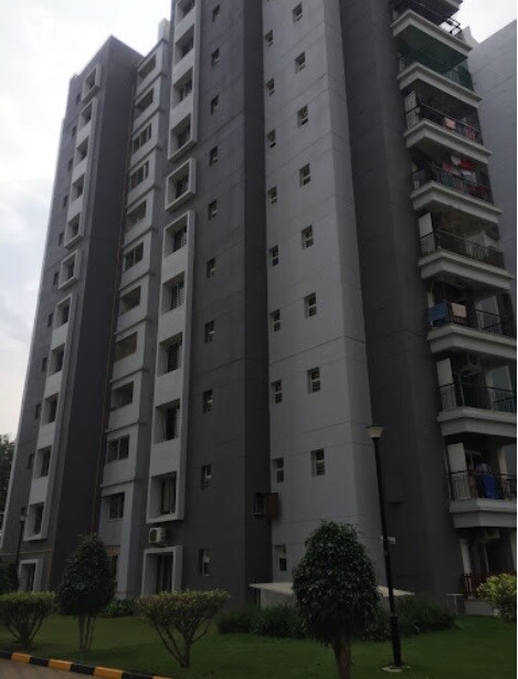 Sobha Chrysanthemum review image