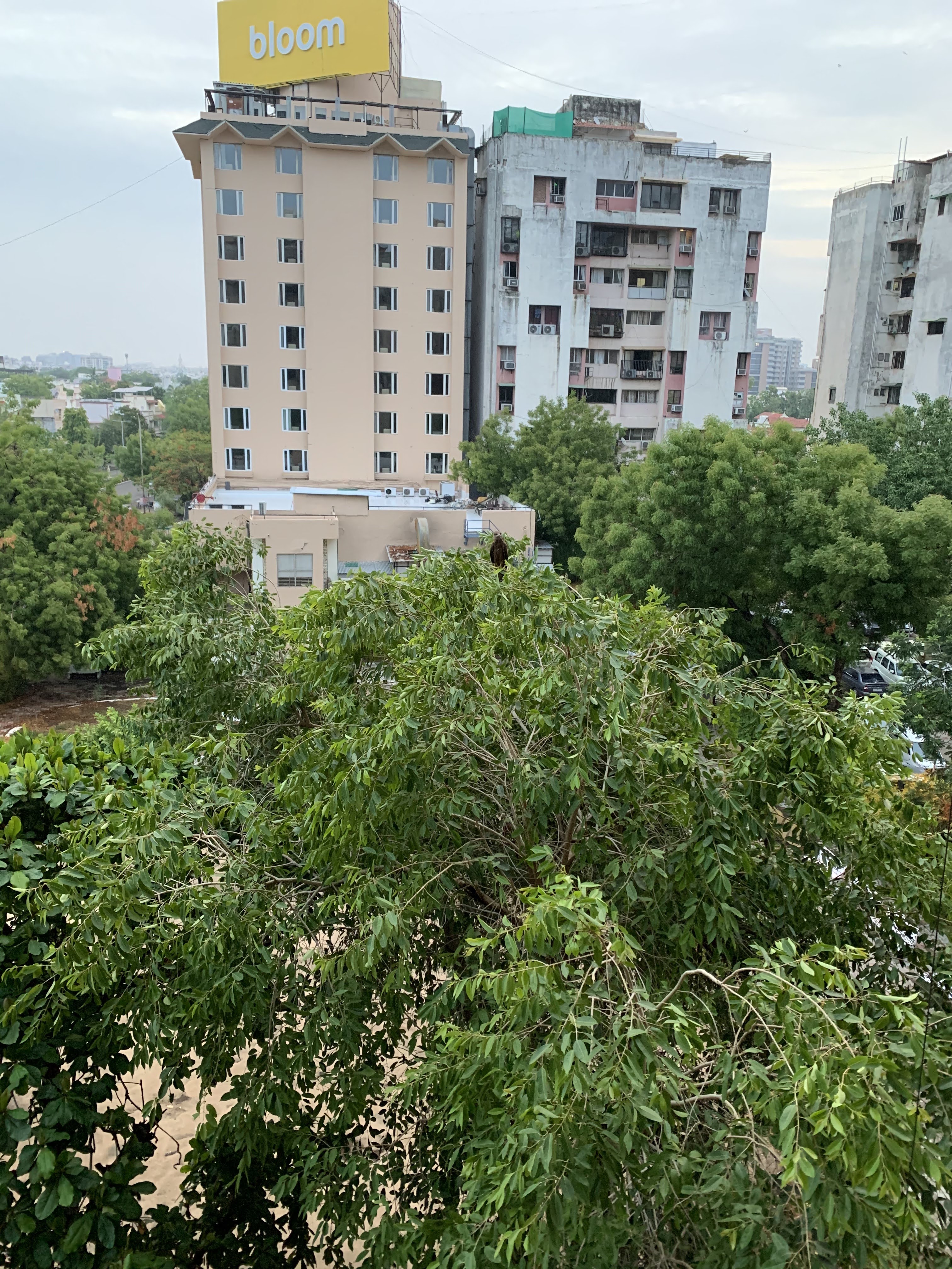 Goyal Intercity review image