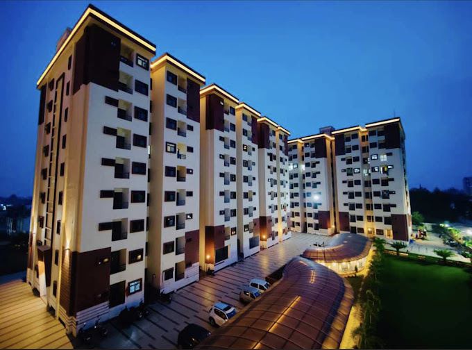 Touchwood The Woods Naubasta review image