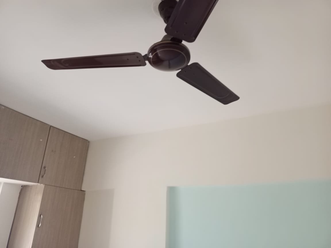 Ujwal High Bliss B Wing review image