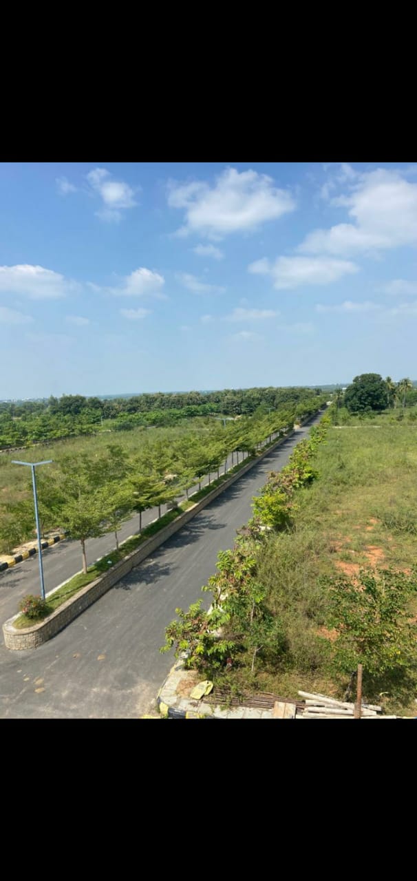 Medchal review image