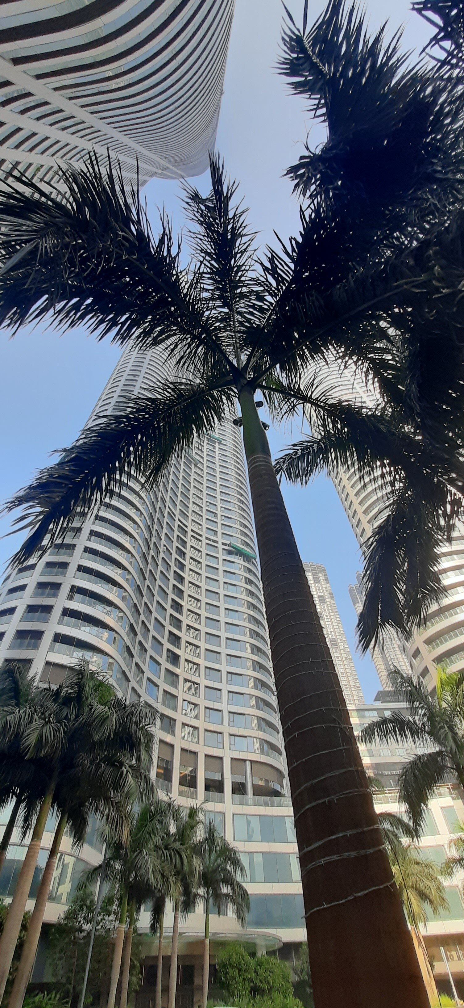 Lodha World One review image