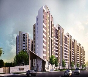 PS Srijan Eternis review image