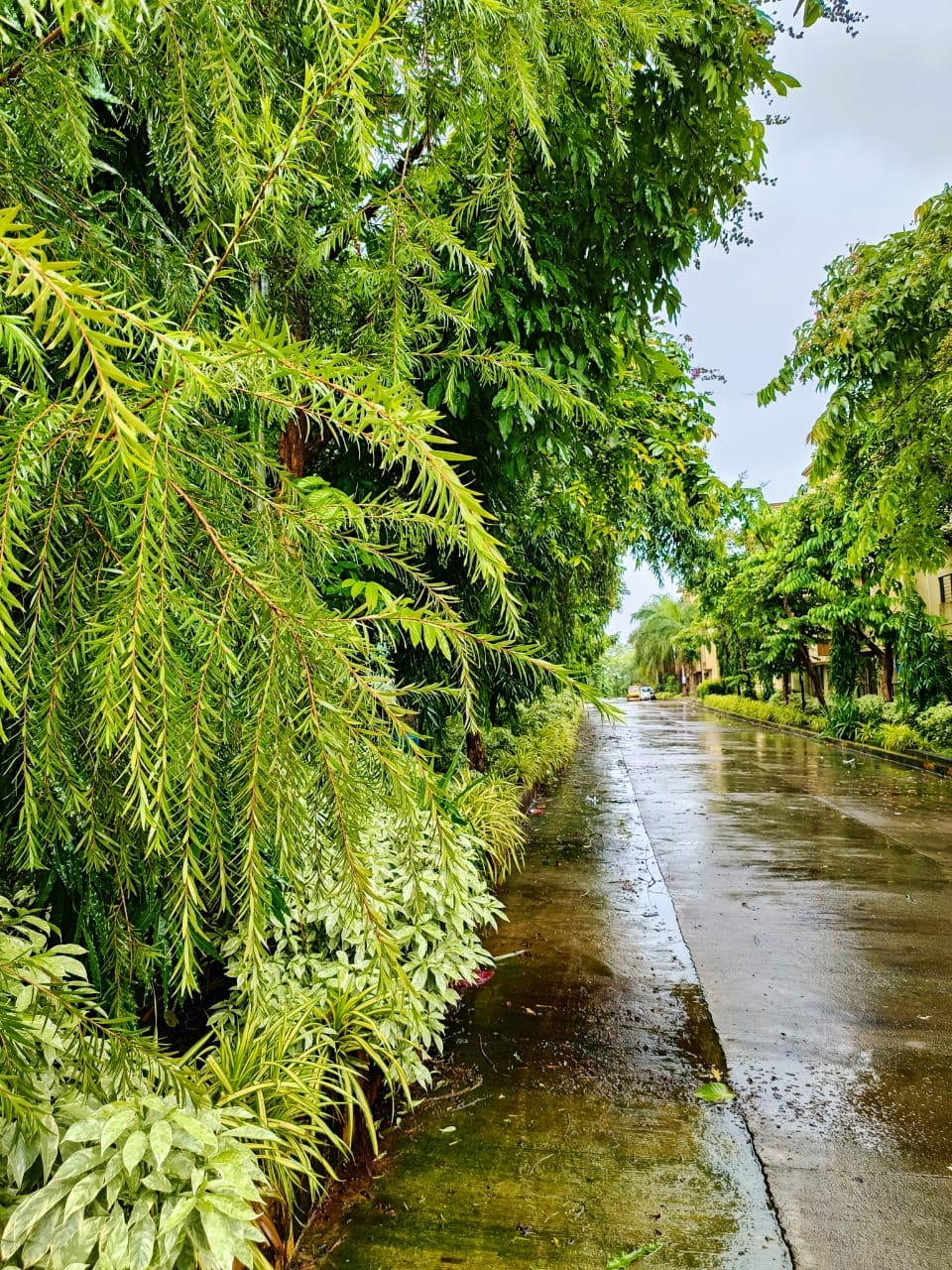Kalamboli Sector 20 review image