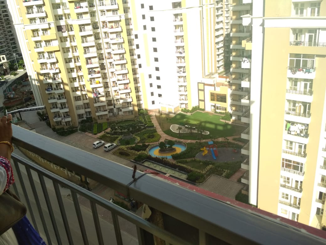 Gaur City 2 review image