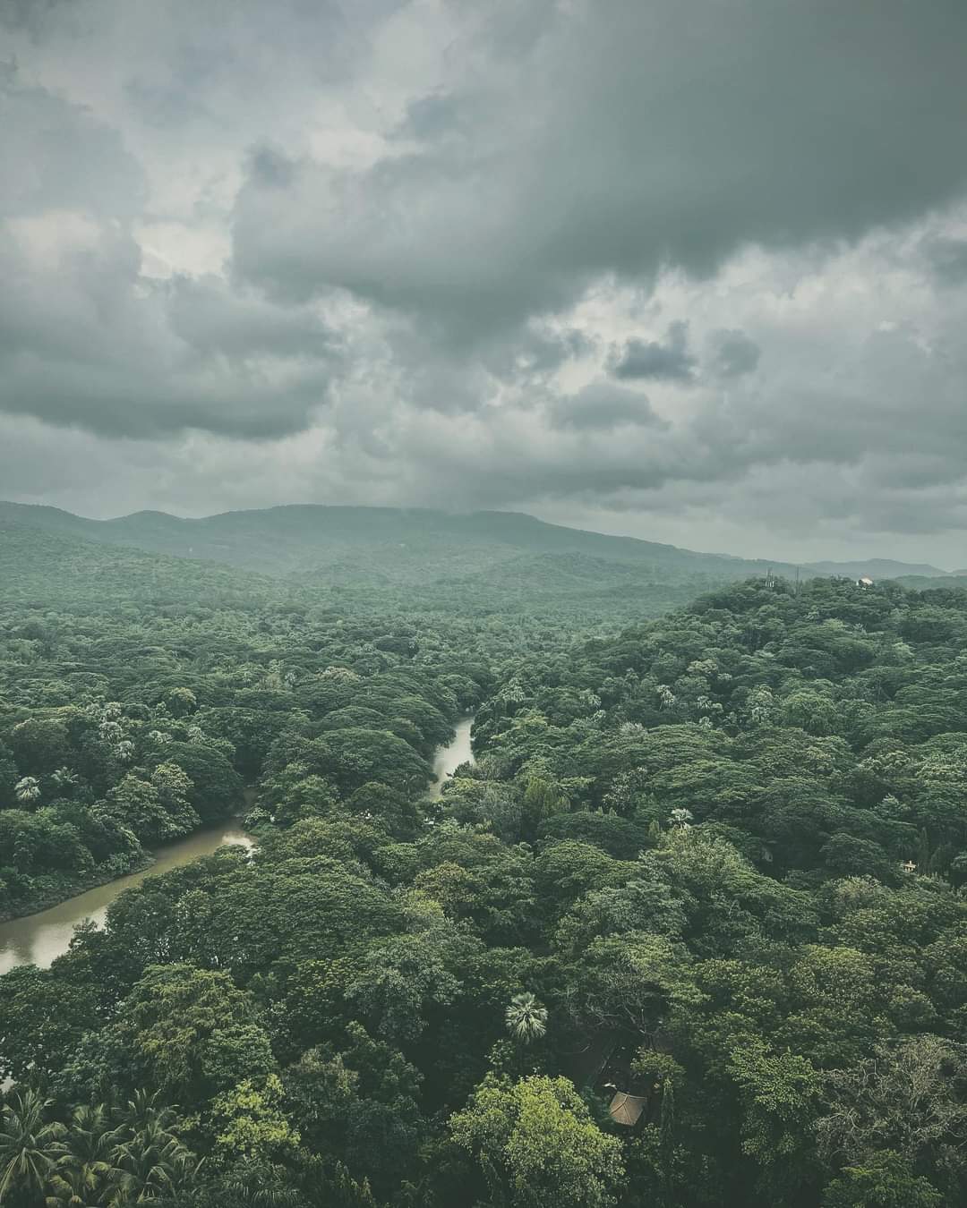 Tejal Realtors PVT LTD