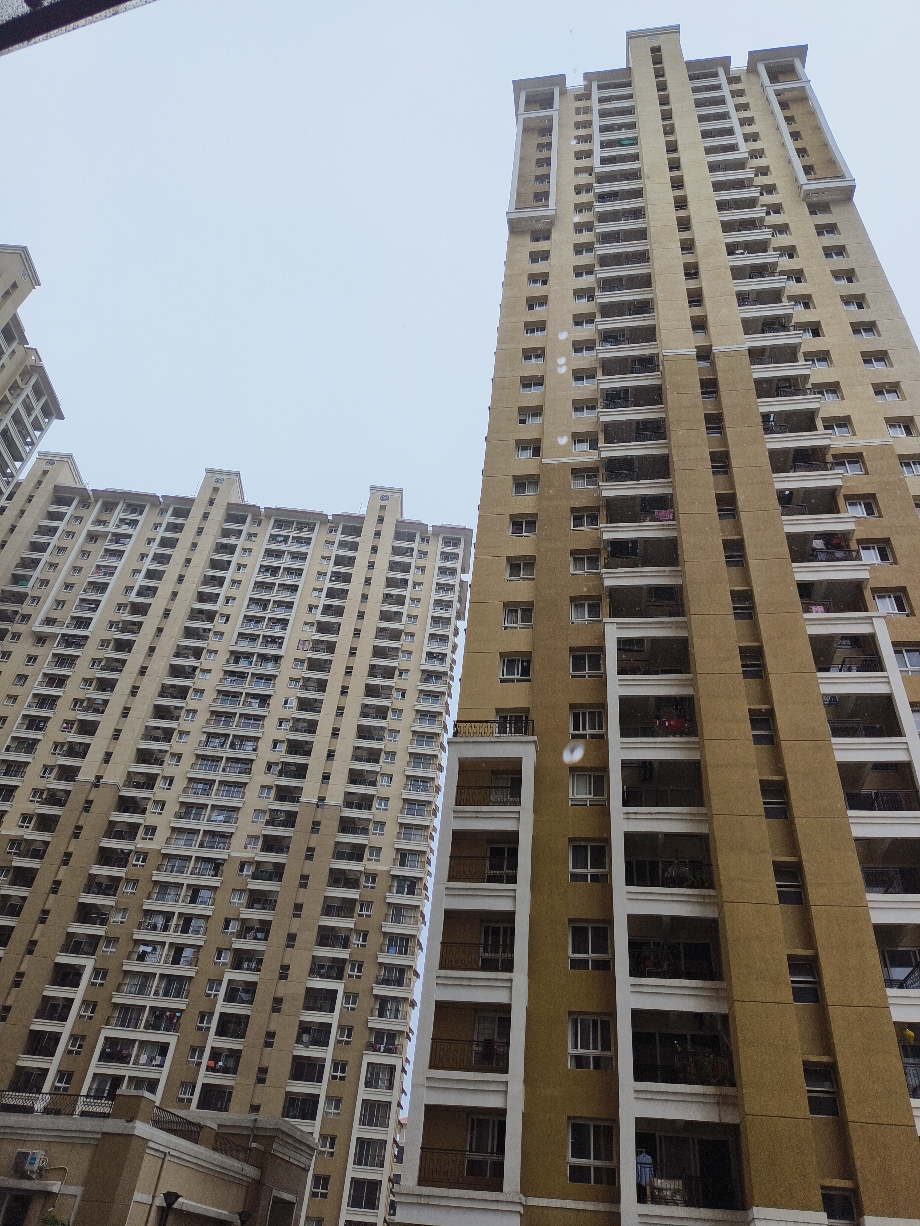 Nyati Elysia review image