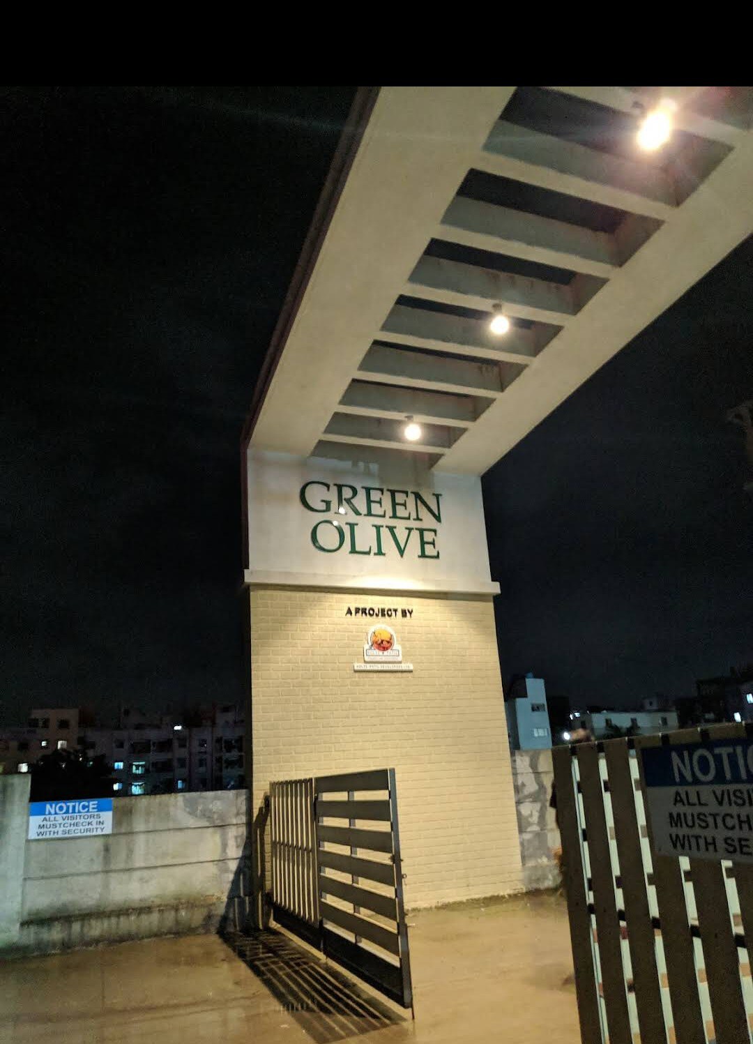 Kolte Patil Green Olive review image