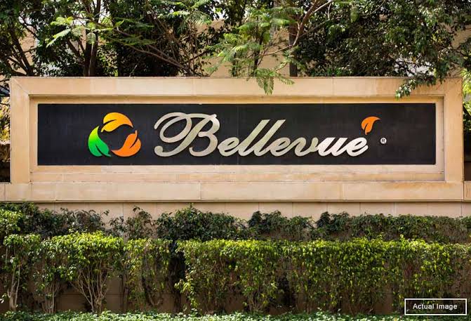 Central Park II-Bellevue review image