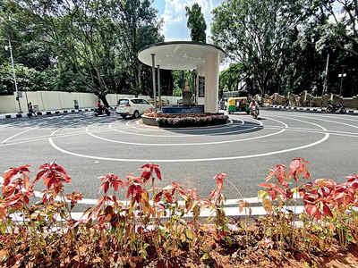 Rt Nagar review image