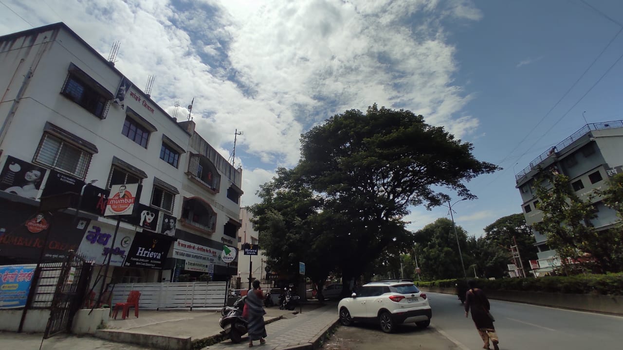 Market Yard review image