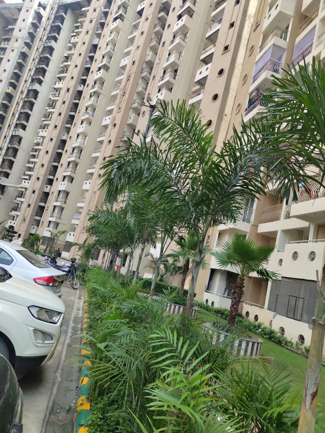 Sikka Kaamna Greens review image