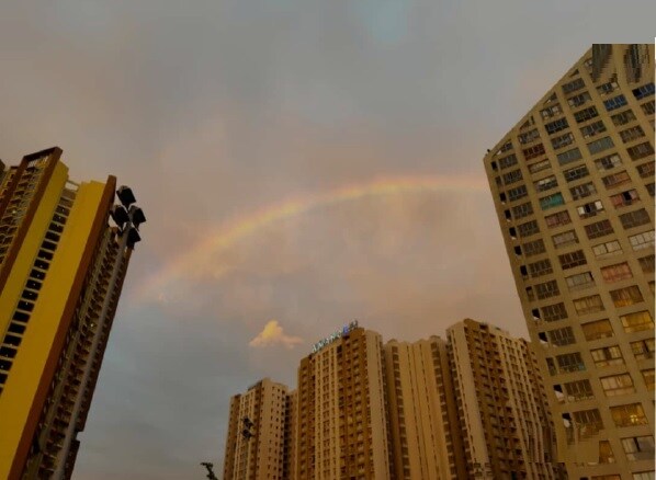 Amanora Victory Towers review image
