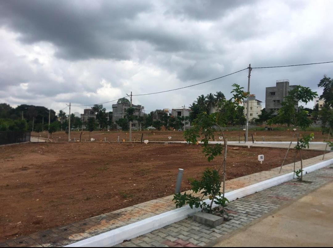 Oraiyan Moon Park review image