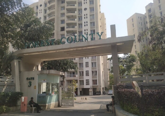 Vascon Forest County review image