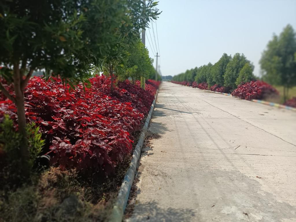 Shadnagar review image