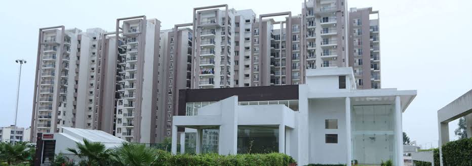 Motia Royal Citi Phase 1 review image