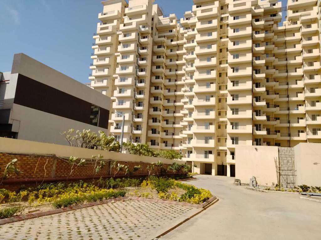 Suncity review image