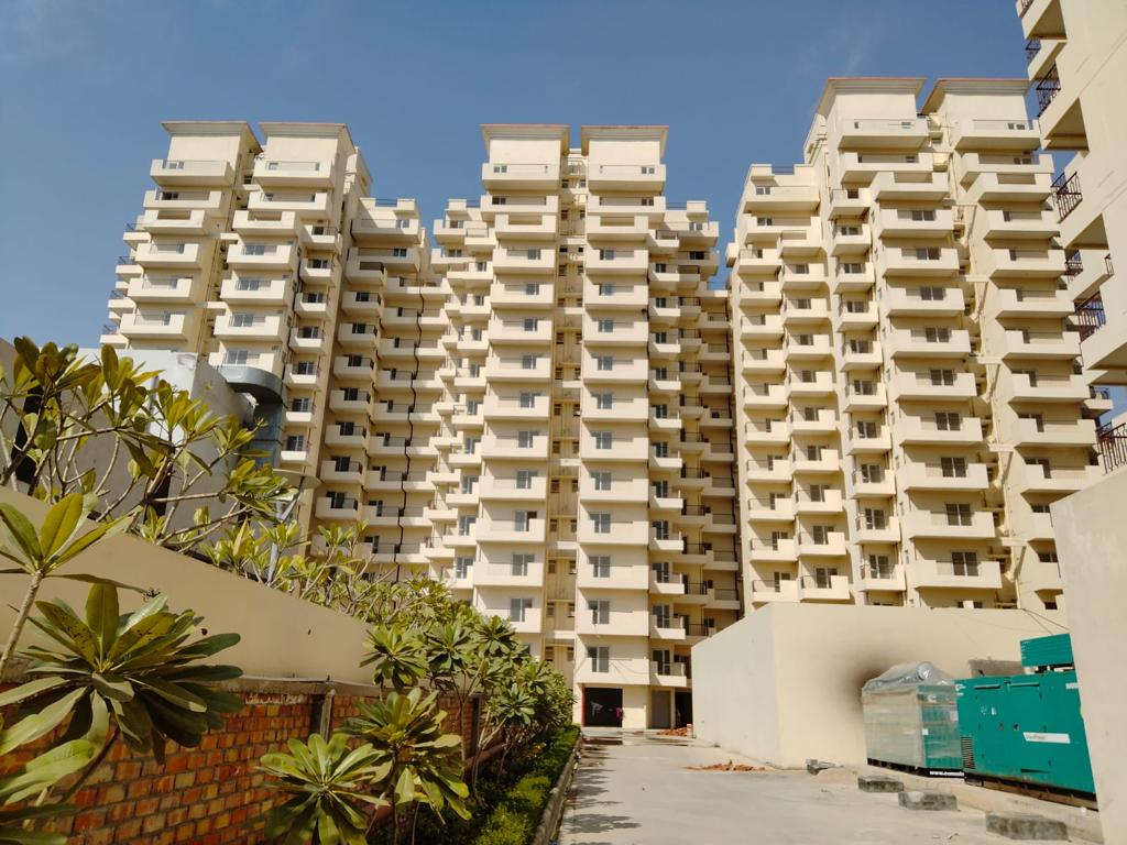 Suncity review image