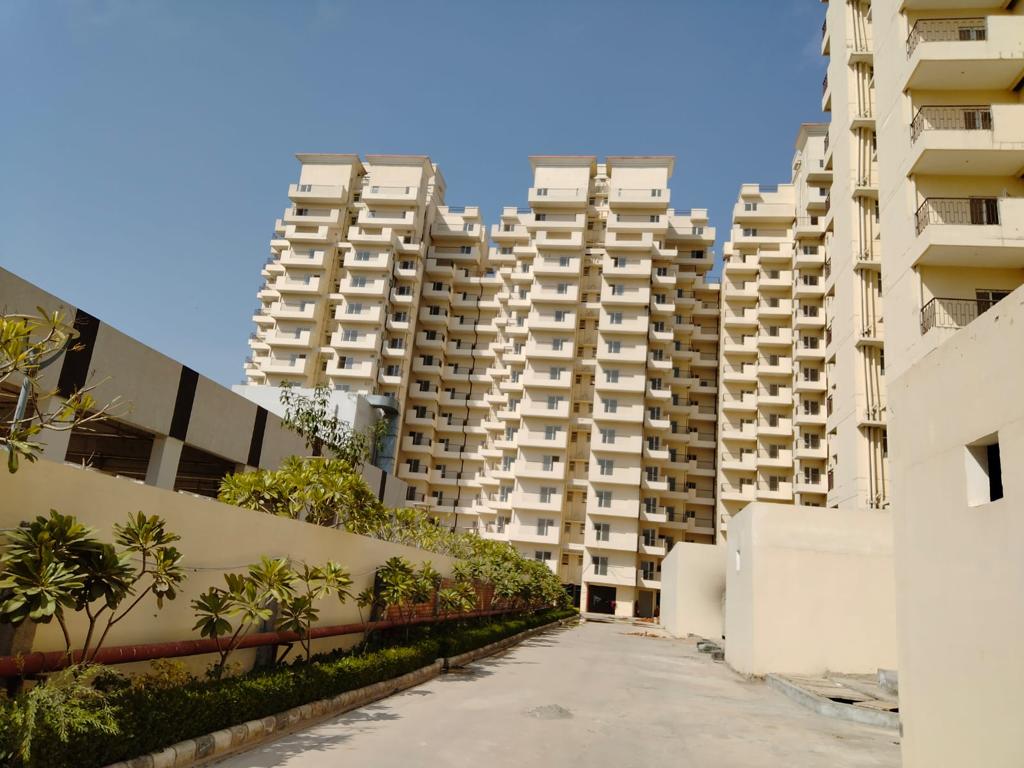 Suncity review image